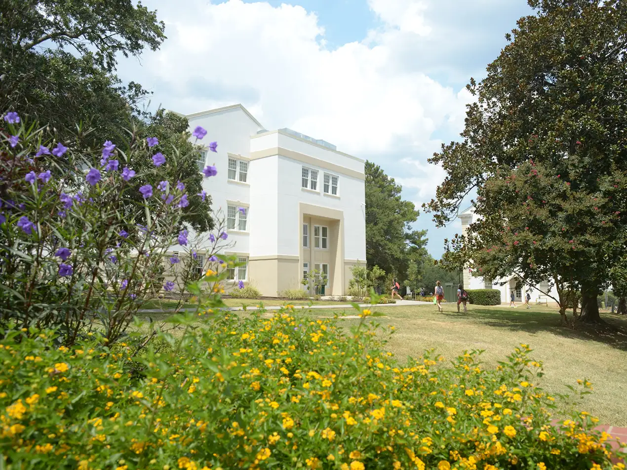 flowers outside of Fitzhugh